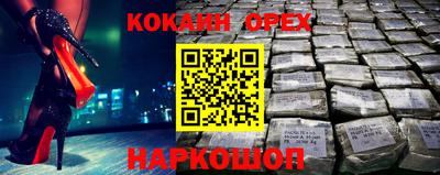 стаф Дубна