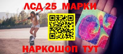 стаф Дубна
