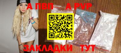стаф Дубна