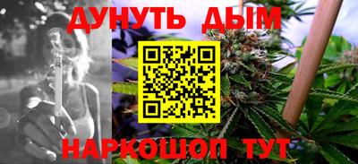 стаф Дубна