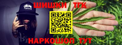 стаф Дубна
