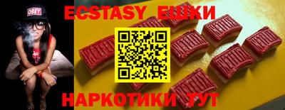 стаф Дубна